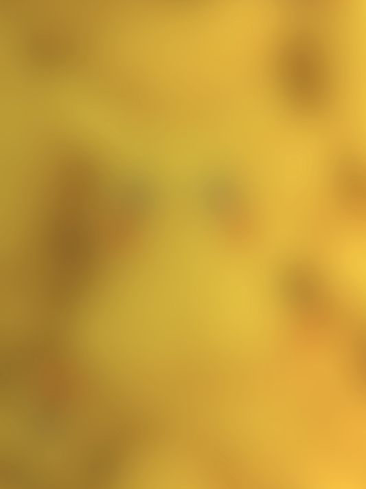 Lightning yellow guy standard Focal