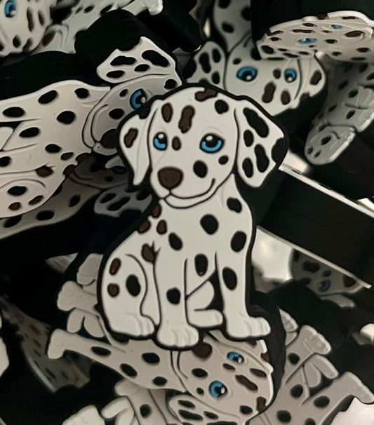 Dalmation - focal