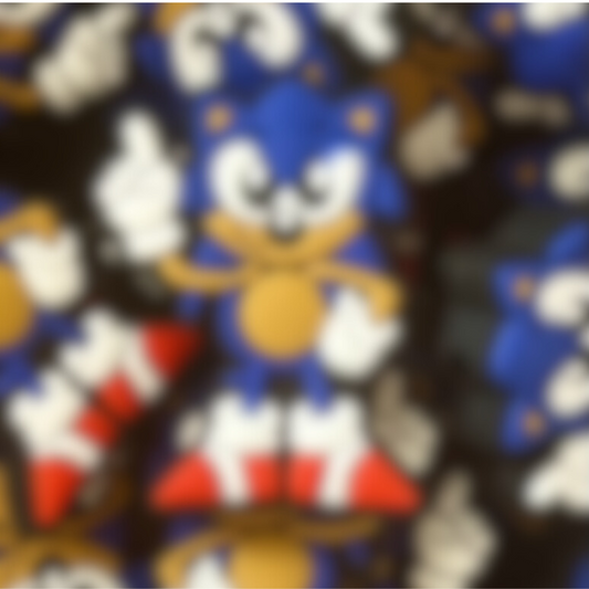 Full Body Fast Hedgehog - Focal