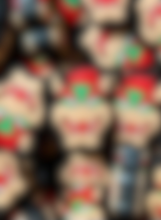 Evil Turtle Head - PVC (Not safe for teething)