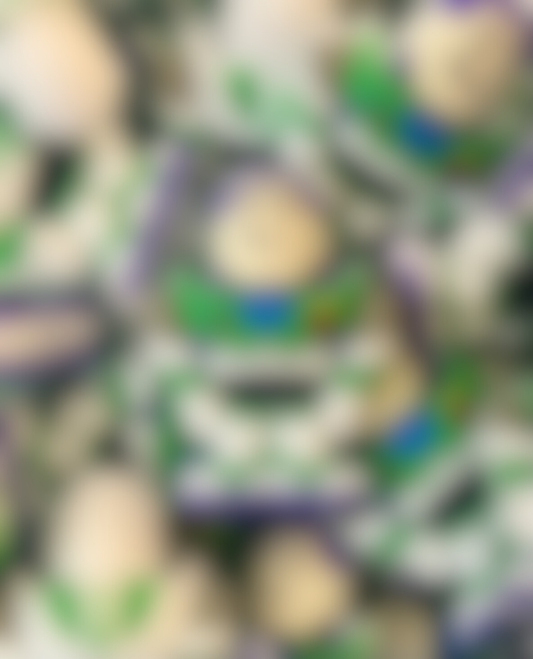 Toy Astronaut - 3D Focal (NOT SAFE FOR TEETHING)