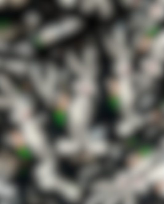 What Up Doc Bunny Focal